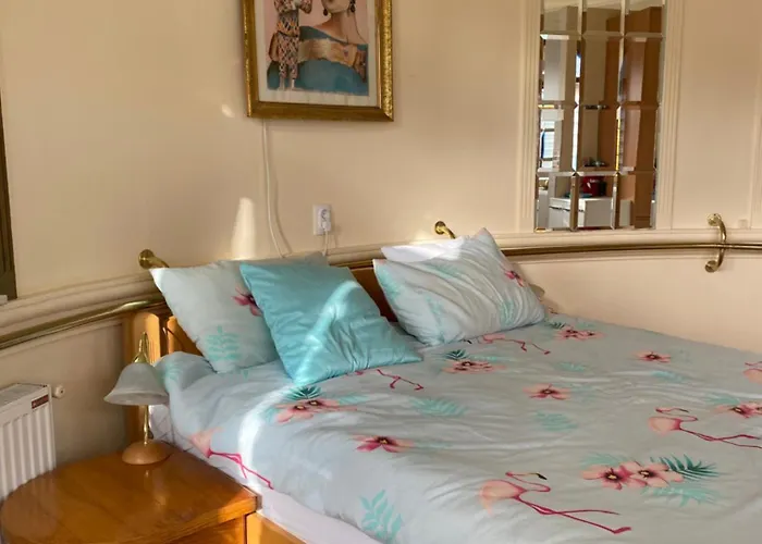 Apartman Carobna Dunja Banja Koviljaca